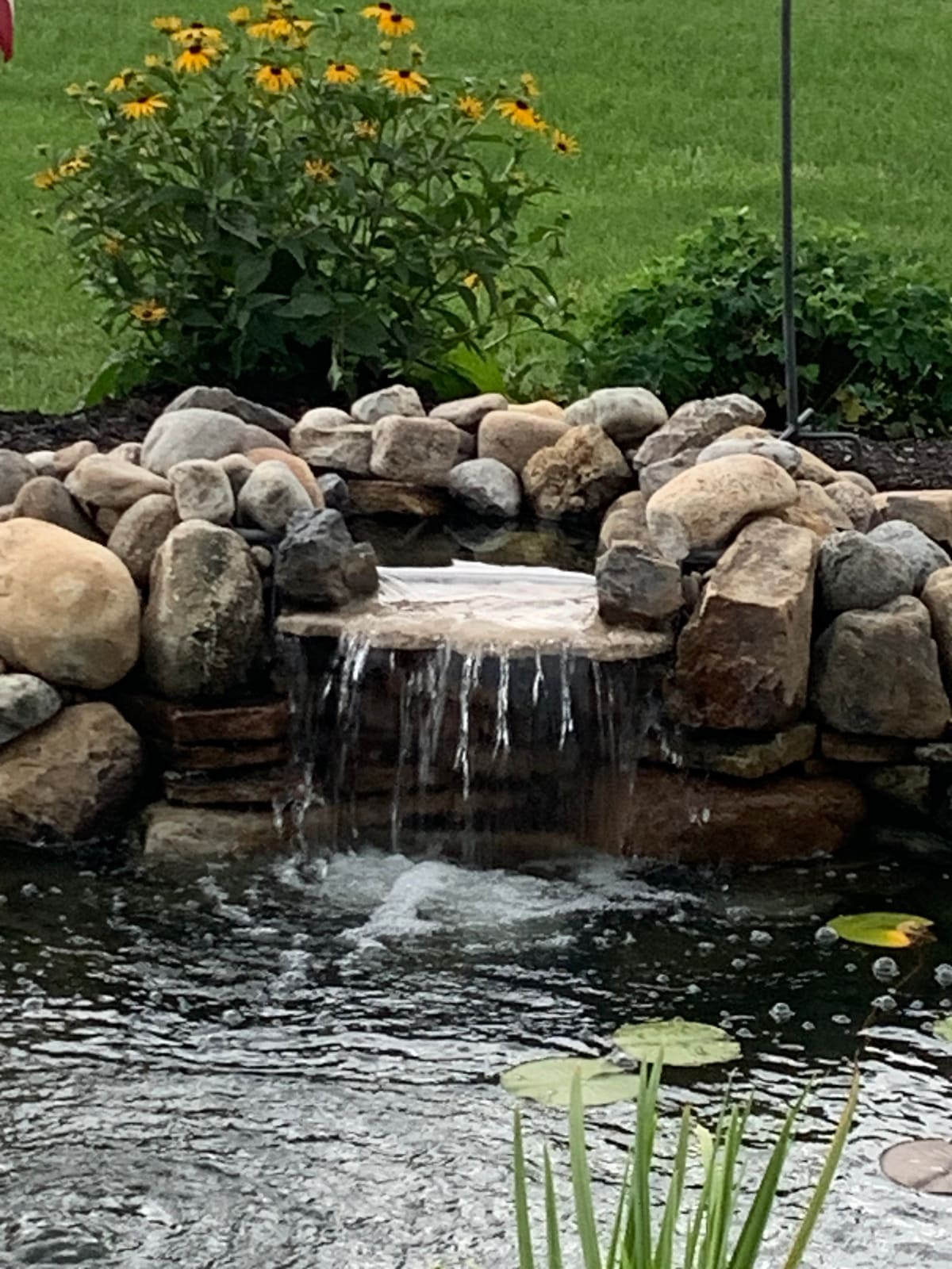 Boulder waterfall sheeting into a pond with black-eyed Susans behind