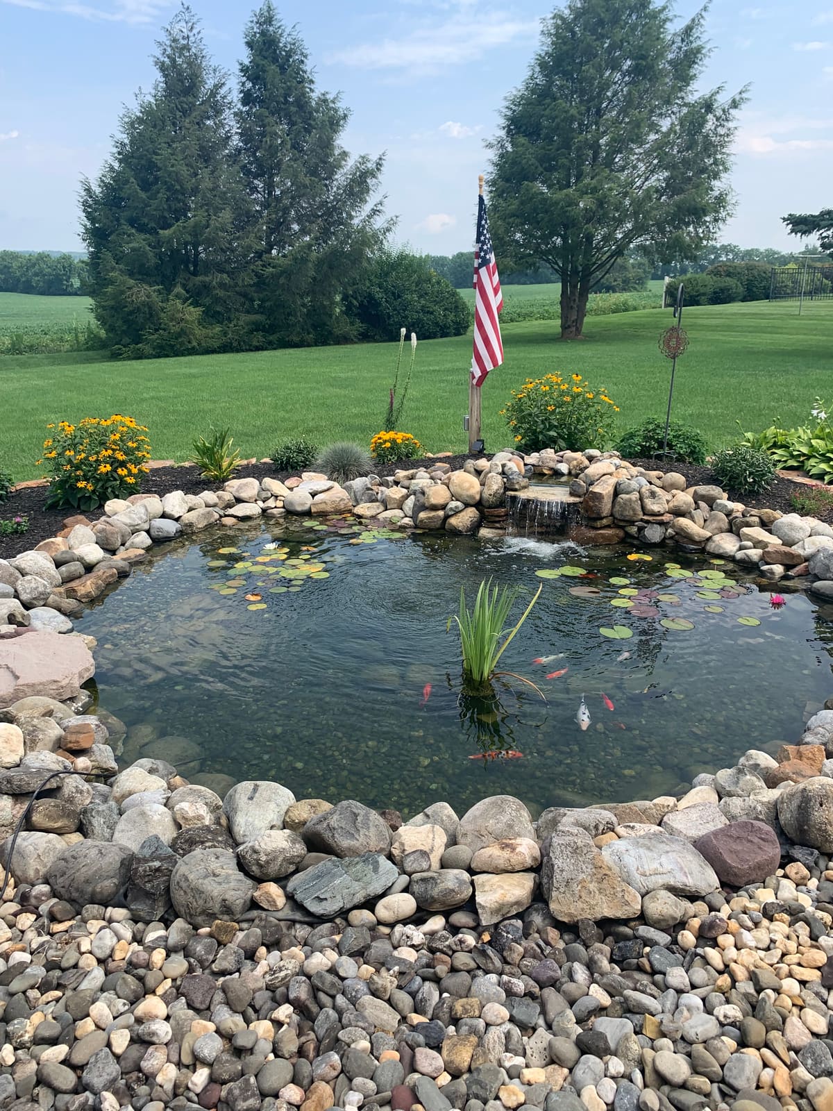 Clear koi pond with water lilies, pebble beach, and waterfall in Lehighton, PA