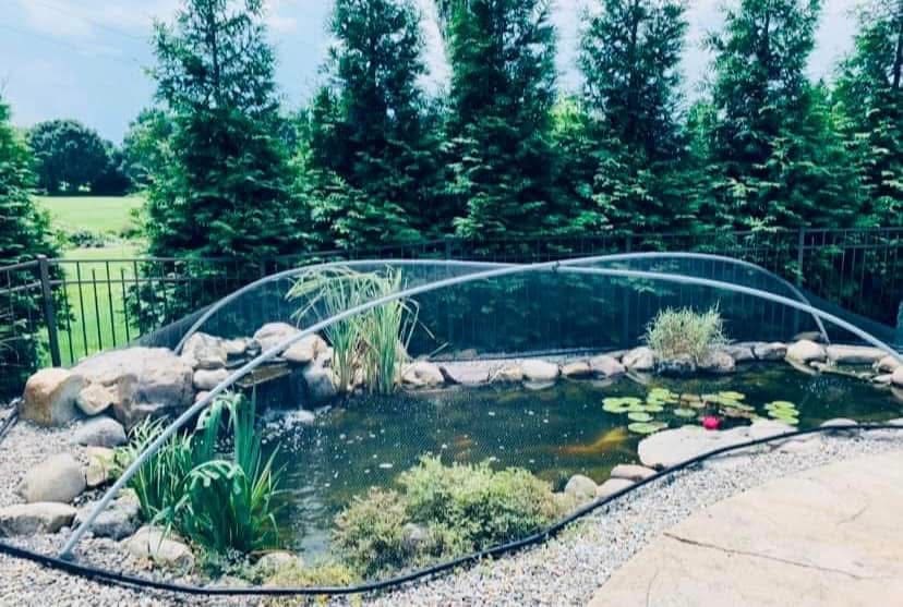 Pond covered by a hooped protective netting dome for fall leaf protection