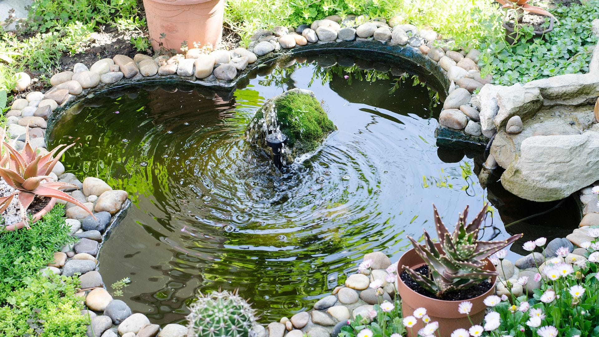 Well-maintained garden pond with bubbling fountain