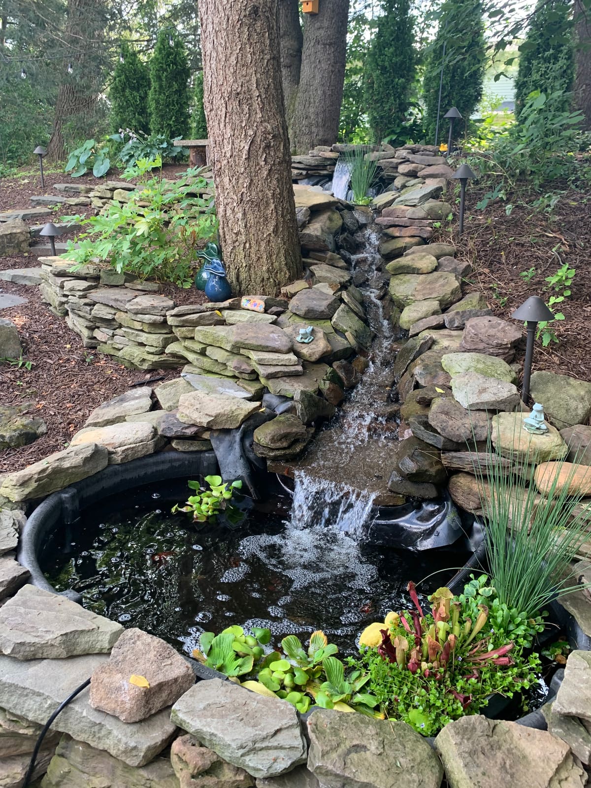 Stacked-stone stream and spillway flowing into a pond with bog plants, built by Aquastyle Creations
